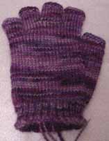Purpleglove1 Purpleglove1